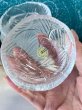 画像5: HOYA　保谷ガラス　リーフ模様が美しい小鉢セット　GUS418 (5)