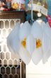 画像1: コイズミ　ペンダントライト　ホワイト照明　花モチーフ　 KG161 (1)
