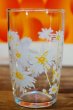 画像4: 佐々木ガラス　ラブリー5　タンブラー　花柄グラス　ひなぎく　G434 (4)