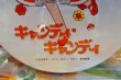 画像3: レア　キャンディキャンディアルミ弁当箱　テイネン　いがらしゆみこ　BY100 (3)