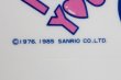 画像5: サンリオ　ハローキティ　１９８５年　ファンシートレイ　食器トレー　PS217　 (5)