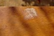 画像8: 昔ながらの木製引き出し　３段チェスト　小箪笥　家具　ＵＳＥＤ品　KG290 (8)