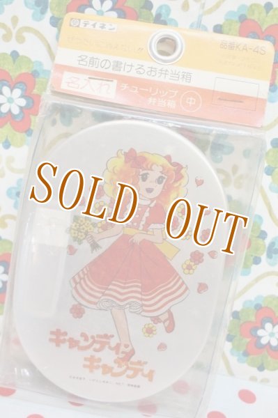 レア キャンディキャンディ 名前の書けるお弁当箱 アルミ弁当箱 レア キャンディキャンディ 名前の書けるお弁当箱 アルミ弁当箱