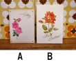 画像2: 地球カード　メッセージカード＆封筒セット　バースデイカード　バラ　花柄　絵柄２種　KF58 (2)