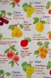 画像4: 昭和レトロ包装紙　昔の包装紙　たくさんのフルーツ　果物柄　KF62 (4)