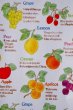 画像2: 昭和レトロ包装紙　昔の包装紙　たくさんのフルーツ　果物柄　KF62 (2)