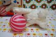 画像3: なかよしミミー　玉取り猫　ゼンマイ式おもちゃ OM174 (3)