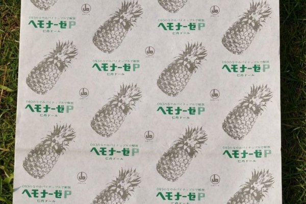 画像1: 昭和レトロ包装紙　昔の包装紙　ヘモナーゼＰ　仁丹ドール　パイナップル柄　KF100 (1)