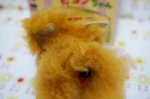 画像5: ジャンピング＊ピヨンちゃん（Ａ）/ニシヤマ　犬のおもちゃ　OM78 (5)