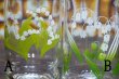 画像6: ADERIAアデリアガラス　鈴蘭のグラス　花柄　各種　G727 (6)