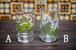 画像3: ADERIAアデリアガラス　鈴蘭のグラス　花柄　各種　G727 (3)