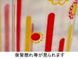 画像20: Y.K印　ヨシカワ　ルミ フリーザーポット　冷水筒ポット　ポップ花柄　３種　P150 (20)