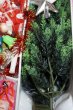 画像4: 昭和レトロなクリスマスツリーセット　60cm　10球電飾付き　デッドストック　SD803 (4)