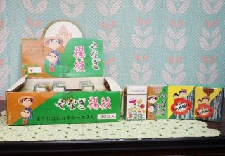 【10％OFF】 ミッキー&ミニー ナショナルパルック 10点セット カードケース コレクション