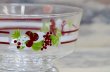 画像4: フルーツ　アイスクリームカップ　デザートカップ　葡萄　メロン　パイナップル　１個　 GU144 (4)