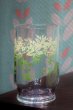 画像2: 佐々木ガラス　グリーングラデーションの小花柄グラス　1個　GL34 (2)