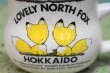 画像3: LOVELY　NORTH　FOX　HOKKAIDO　キタキツネマグカップ　お土産　１個　MG47 (3)