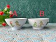 画像4: NHKとんでけブッチー　メラミン茶碗　各種　PS285 (4)