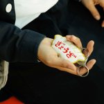 画像8: ニューレトロ ワッペンキーホルダー（ぎょうざ） (8)