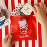 画像1: リョーちゃん ジッパーバッグ M （6枚入り） (1)