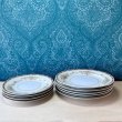 画像7: 日本陶器会社　NORITAKE　ノリタケの古いお皿セット　vintageplate　ヴィクトリア　サイズ2種　各種セット (7)