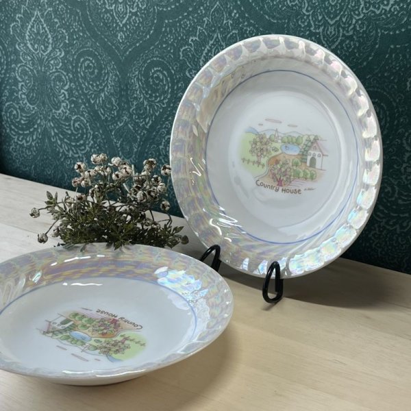 TD FINE CHINA Country House カレー皿2枚セット パール縁