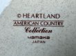 画像7: YAMAKAヤマカ　HEARTLAND　AMERICANCOUNTRY　ハートランドアメリカンカントリー　27cmプレート　 (7)