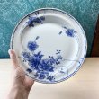 画像5: TABLE WARE NT　ブルーローズ　24cmプレート皿　各枚数　青い薔薇 (5)