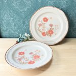 画像1: international　honeyfield　Cindy　インターナショナルハニーフィールド　カントリー調花柄プレート皿　2枚セット　3枚セット　各種 (1)
