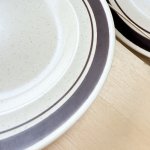 画像4: オールドミカサ　MIKASA　SANDBAR　カレーシチュー皿　ブラウンラインプレート　2枚or3枚 (4)