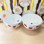 画像4: EJIRY　エジリーホーロー　ハンドル付き蓋付きホーローボウル　ストロベリー　いちご19cm 21cm　各種 (4)