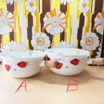 画像7: EJIRY　エジリーホーロー　ハンドル付き蓋付きホーローボウル　ストロベリー　いちご19cm 21cm　各種 (7)