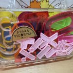 画像9: 在庫限り★ようちえんすうじマスター　トランクケース入り　数字マスター (9)