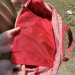 画像16: ピンクハウス　pinkHouse　vintage　マザーズバッグ　赤チェック　ビッグトートバッグ (16)