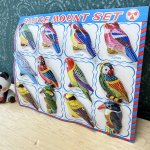 画像2: ブリキ製　カラフル鳥バッジ　１シート　　日本製　　バードブローチ (2)