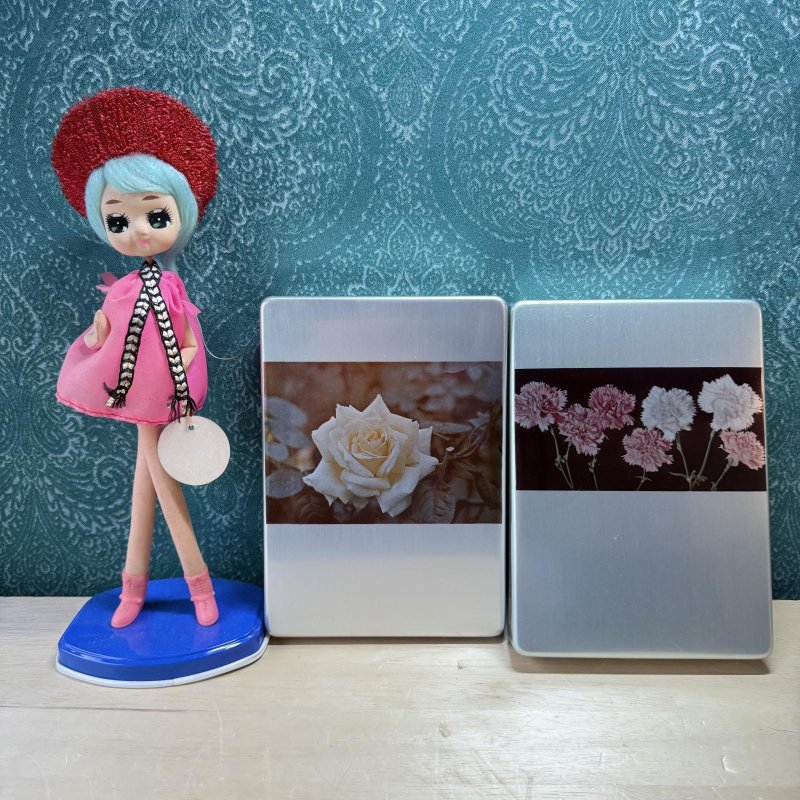 画像1: テイネン　菊ブック弁当箱　アルミ弁当箱　花柄　中サイズ　花柄２種　 (1)