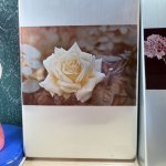 画像3: テイネン　菊ブック弁当箱　アルミ弁当箱　花柄　中サイズ　花柄２種　 (3)