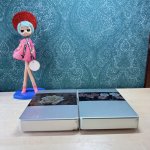 画像5: テイネン　菊ブック弁当箱　アルミ弁当箱　花柄　中サイズ　花柄２種　 (5)