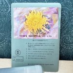 画像16: テイネン　菊ブック弁当箱　アルミ弁当箱　花柄　中サイズ　花柄２種　 (16)