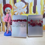 画像1: 理研リケン　ランチボックス　アルミ弁当箱　花柄２種（カーネーション・バラ）ブック弁当箱 (1)