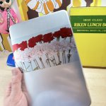 画像6: 理研リケン　ランチボックス　アルミ弁当箱　花柄２種（カーネーション・バラ）ブック弁当箱 (6)