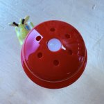 画像4: RISU　リス　ブルーム　チェリー　塩コショウ入れ　赤 (4)