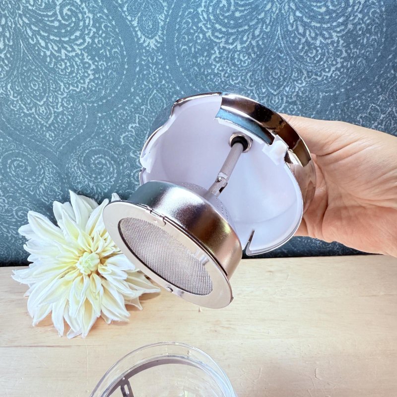 画像5: HARIO　ハリオ　茶王　CHAOR　ストレーナー式ガラスティーポット (5)