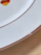 画像5: いちごの大きなプレート皿　2枚セット　ストロベリー　 (5)