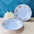 画像1: ltiyama china エレガンスフラワープリント　カレーシチュー皿２枚セット (1)