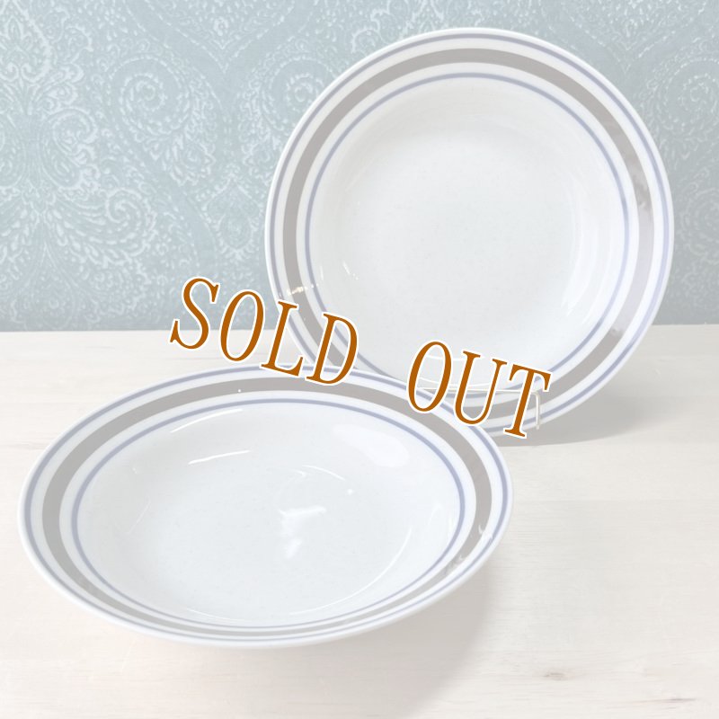 画像1: TONO CHINA　ブルー＆ブラウン　カレーシチュー皿　20.5cm　各枚数 (1)