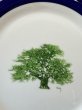 画像2: モダン　木の柄のプレート皿2枚セット　グリーン　 (2)