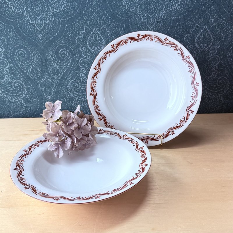 画像1: 純喫茶　カレーシチュー皿　モダンフラワー　ワインカラー　21cm　2枚　3枚　各枚数 (1)