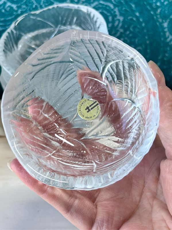 コスタボダ リーフ柄 ペアガラス皿 25.5cm 未使用品