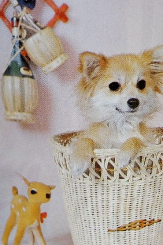 お部屋を楽しくよりファッショナブルに・・犬缶 キャニスター わんこ